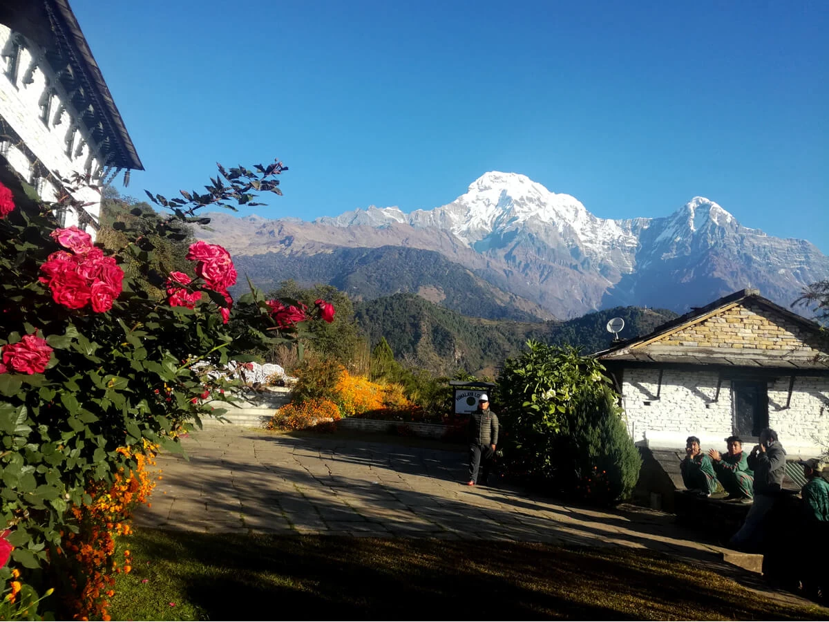 Drive to Nayapul & Trek to Ghandruk