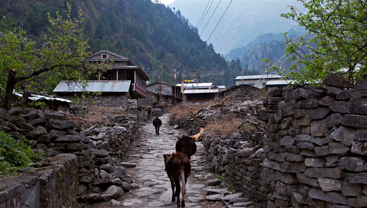 Trek from Soti Khola to MacchaKhola