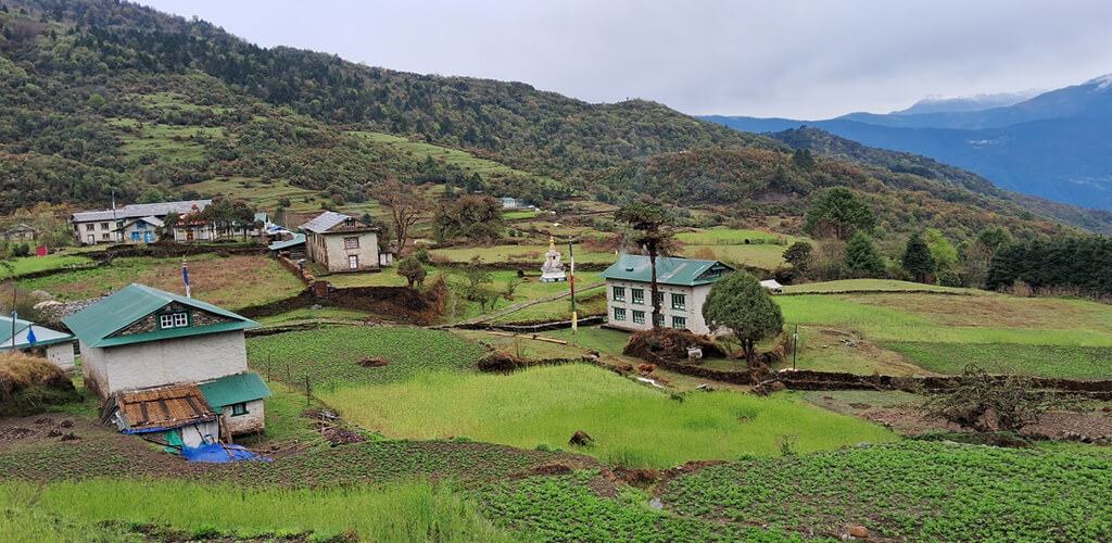 Trek to Ningsow/ Ramailo Danda (2,860m)
