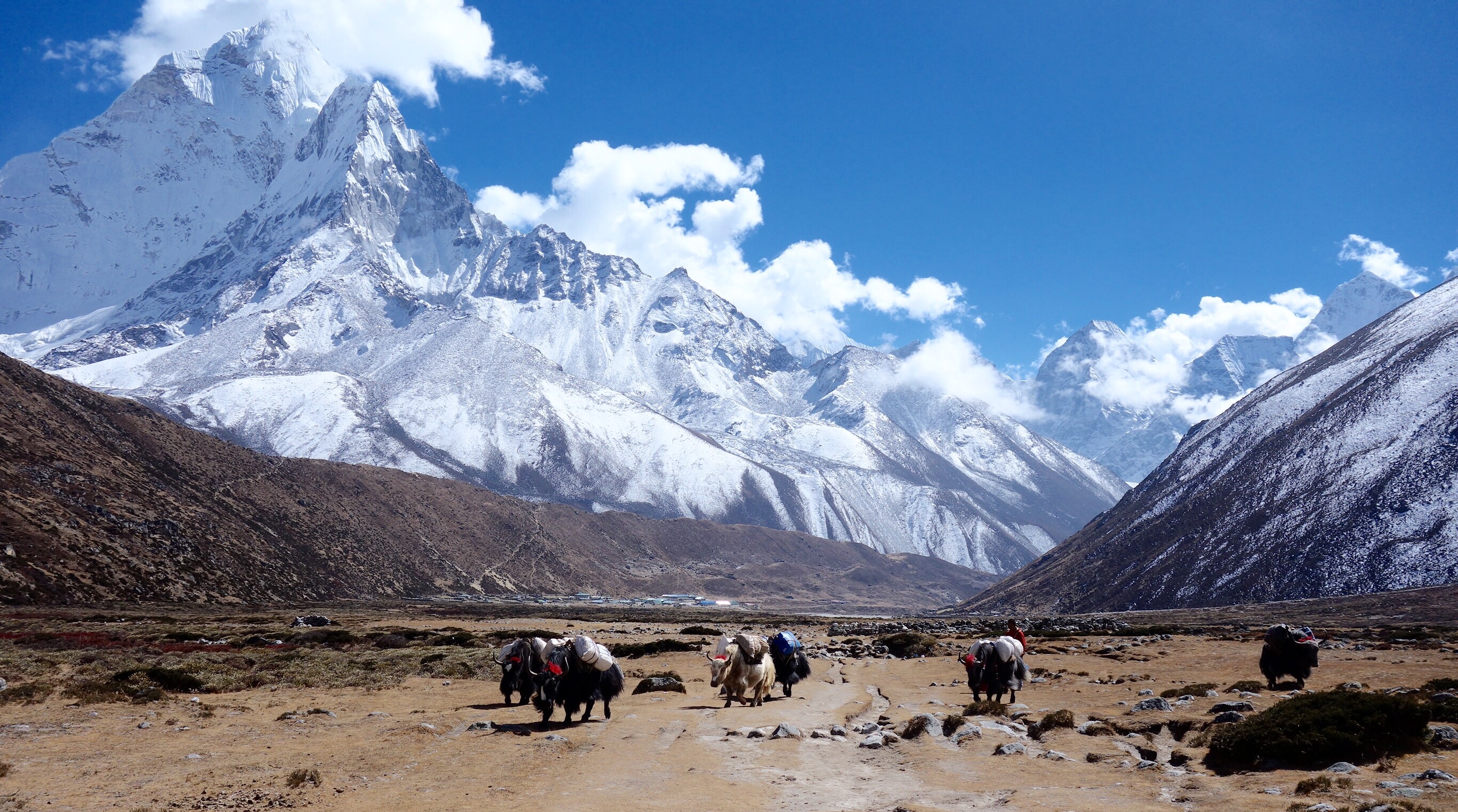 Lobuche High Camp to Summit, Back to Base camp and trek to Pheriche (4,240m)