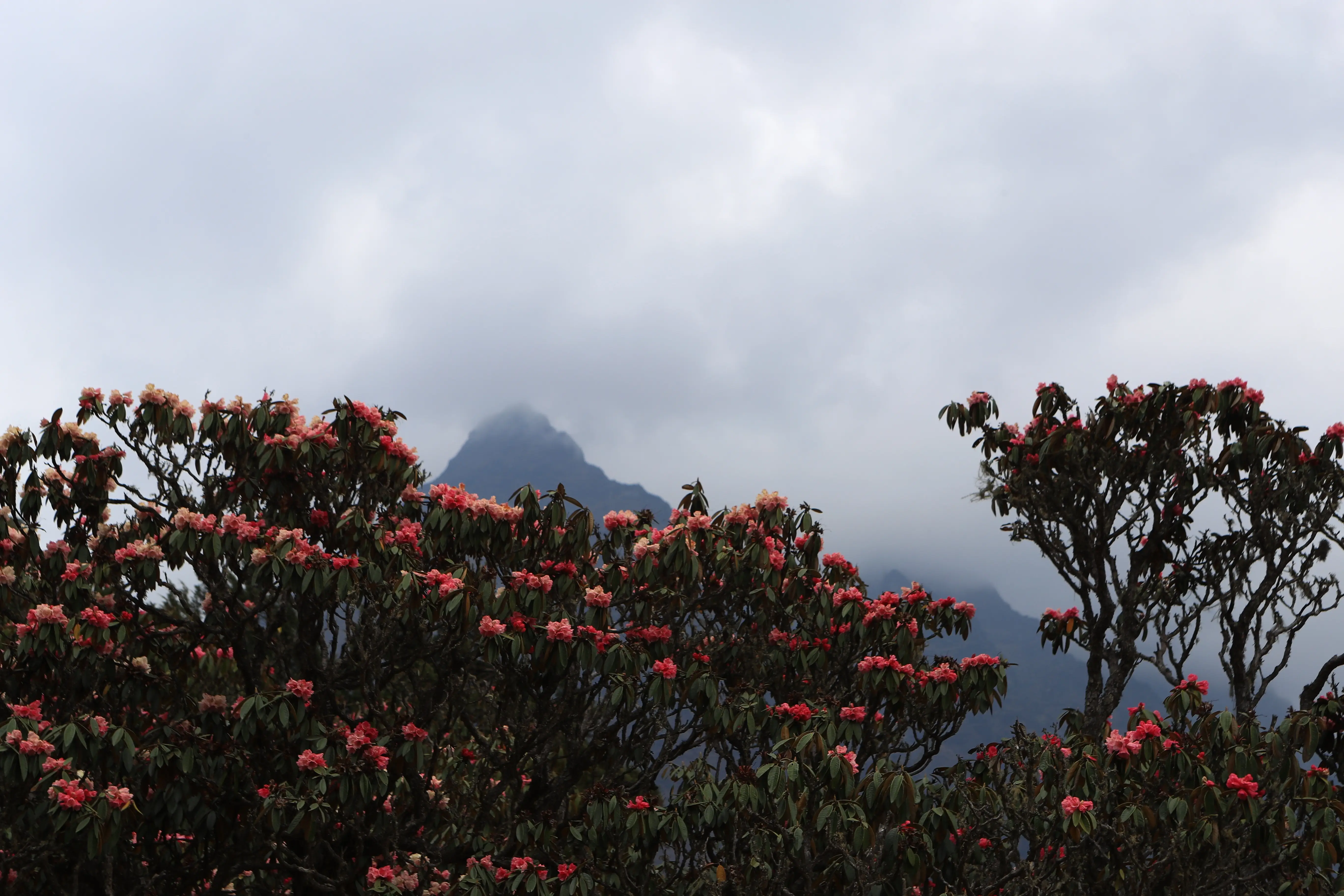 everest-base-camp-trek6
