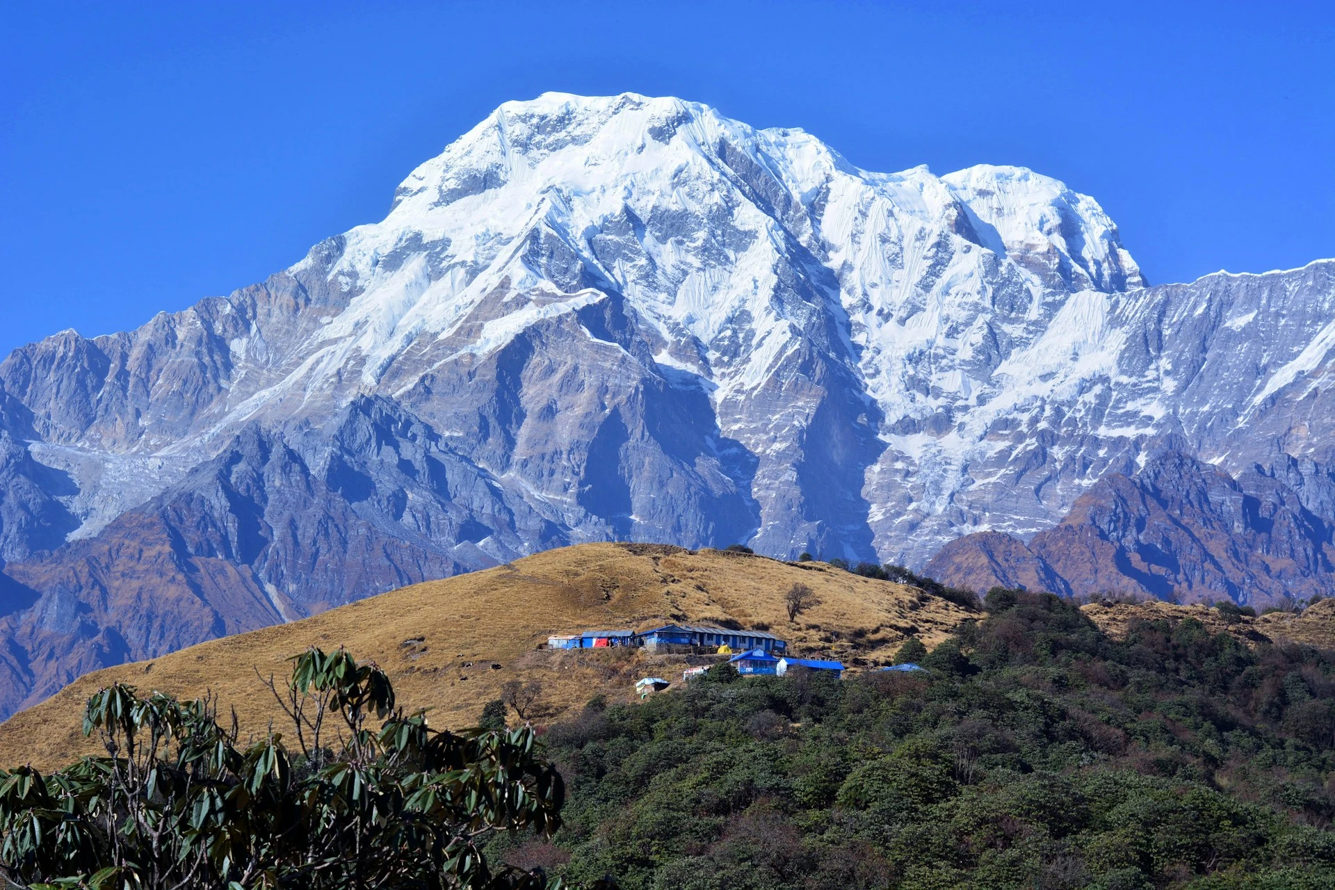 mardi-himal-trail4