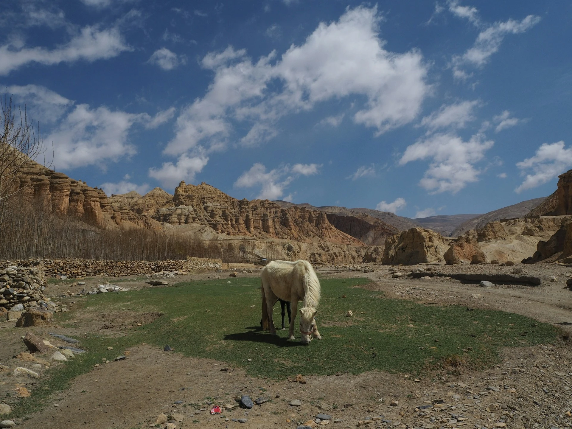 upper-dolpo-trek2